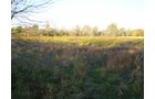 Property photo 1 - 202+/- Acres Offered in 7 Tracts